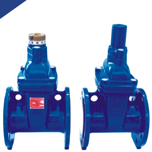 ANTI-THEFT SOFT SEAL GATE VALVE DN50~DN300
