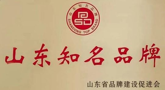 <b>国梅 复合式高速进排气阀获山东知名品牌认定</b>
