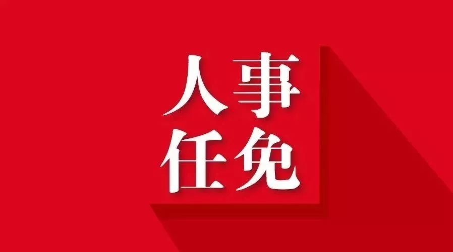 任命王传高同志为山东建华阀门副董事长的决议