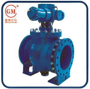 Eccentric Hemispherical Valve